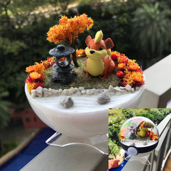 Zen Garden Pokemon Terrarium