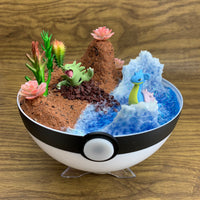 Custom Commission Pokemon Terrarium