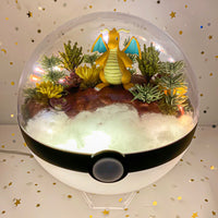 Mountain Peak Pokemon Terrarium