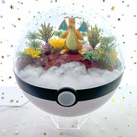 Mountain Peak Pokemon Terrarium