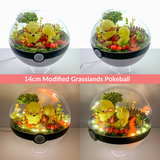 Grasslands Pokemon Terrarium