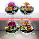 Grasslands Pokemon Terrarium